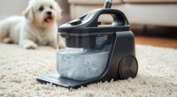 top portable pet carpet cleaners