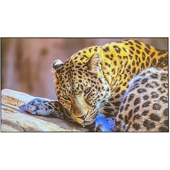 ALR Projection Screen 120 Inch Wall Mount Grey