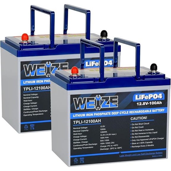 WEIZE 12V 100Ah LiFePO4 Battery (2 Pack)