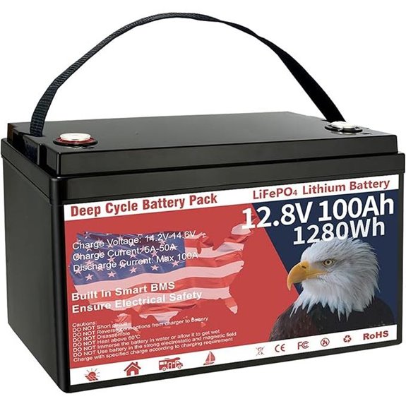 12V 100Ah Lithium Battery with BMS and Deep Cycles