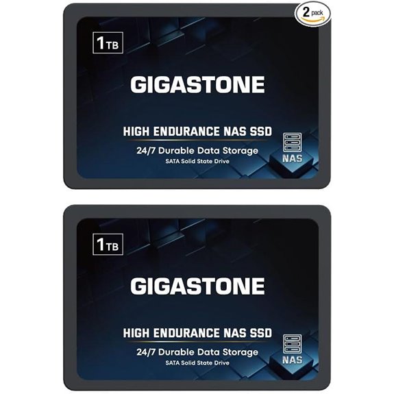 Gigastone 1TB NAS SSD (2-Pack) High Endurance