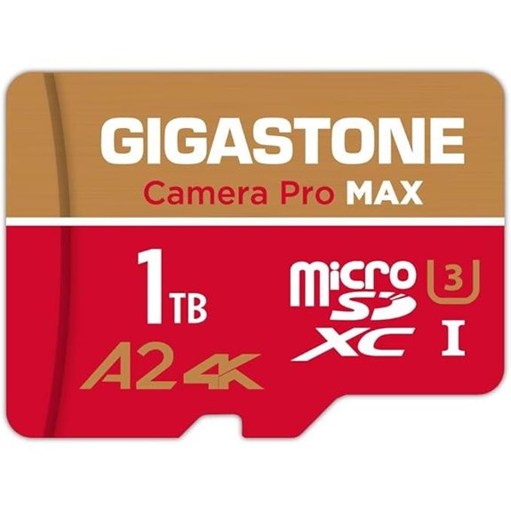 GIGASTONE 1TB MicroSD Card for 4K Cameras