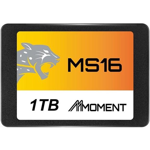 MMOMENT 1TB SATA III SSD for PC Desktop