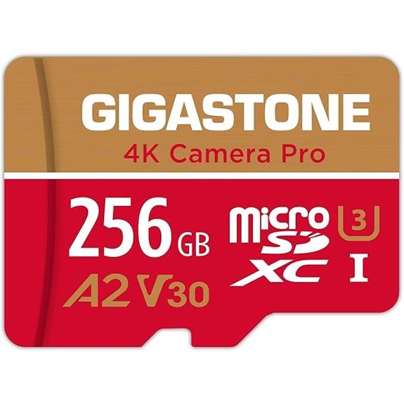 GIGASTONE 256GB Micro SD Card for 4K Cameras