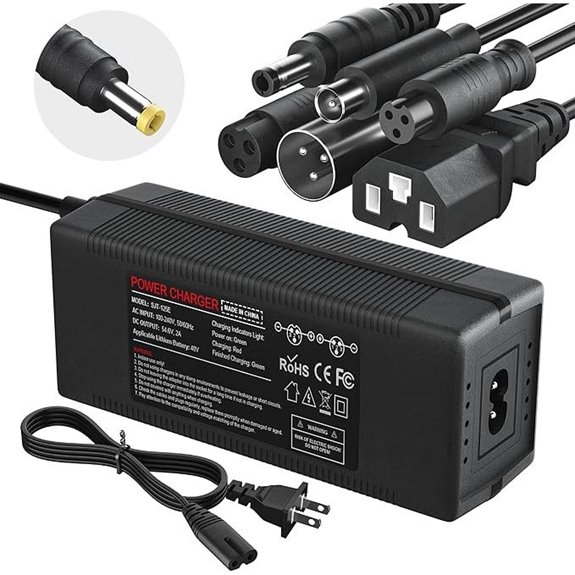 48V Lithium Ebike Charger with 7 Ports