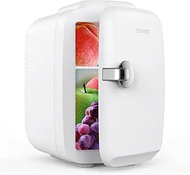 CROWNFUL 4L Mini Cooler and Warmer Refrigerator