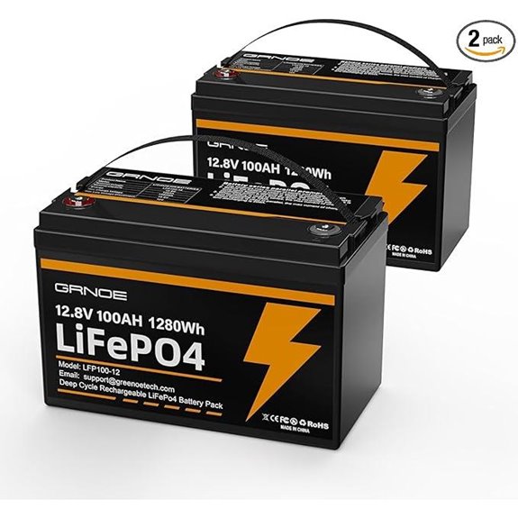 2-Pack 12V 100Ah LiFePO4 Battery with BMS