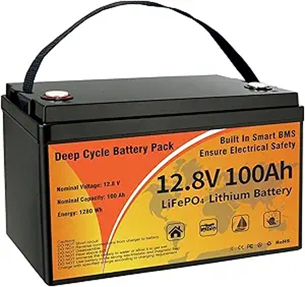 12V 100Ah LiFePO4 Battery with BMS & 10-Year Lifespan