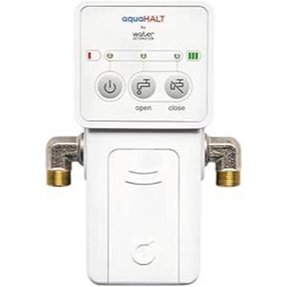 home leak detection system