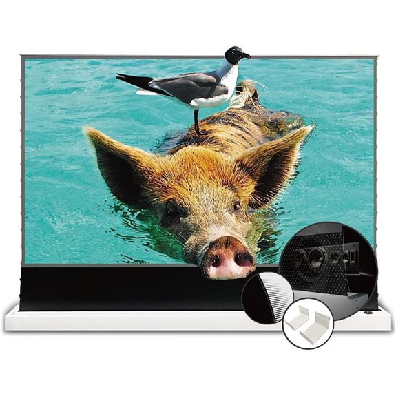 VIVIDSTORM 120-inch Acoustic Transparent Electric Projection Screen