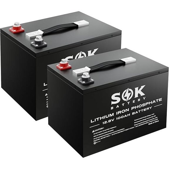 SOK 100Ah 12V LiFePO4 Deep Cycle Battery (2 Pack)