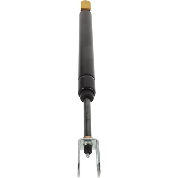 Hairdressing Chair Lift Rod for Salon Hydraulic Replacement