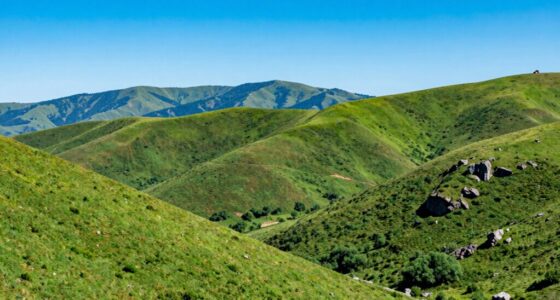 sensor size over megapixels