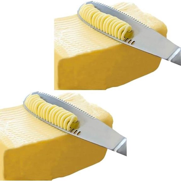 Simple Stainless Steel Butter Spreader Set (2 Pieces)