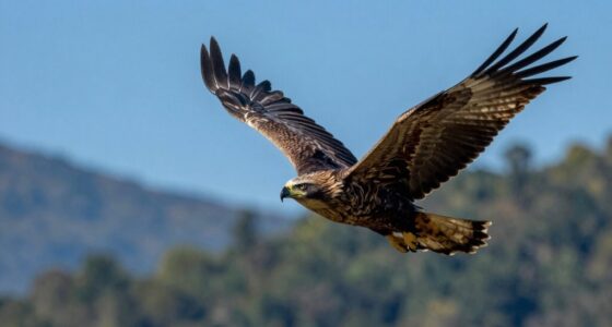 top 150 600mm telephoto lenses