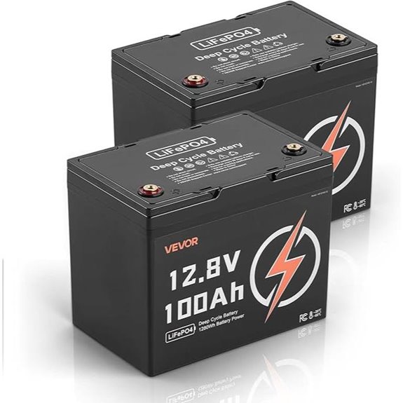 VEVOR 2 Pack 12V 100Ah Lithium Iron Phosphate Batteries