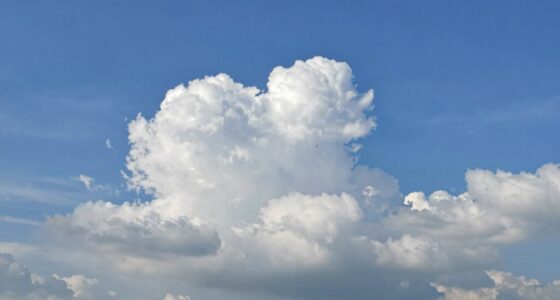understanding everyday cloud usage