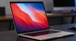 vivid high contrast display