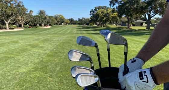 11 Best Golf Clubs in 2026