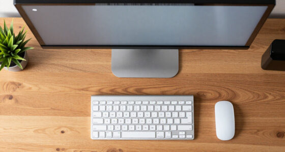 9 Best 4K Monitors for Work and Play in 2026