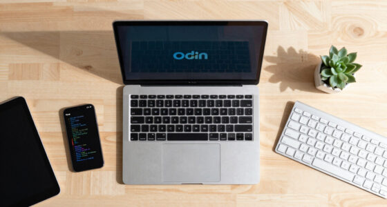 Understanding The Odin Programming Language